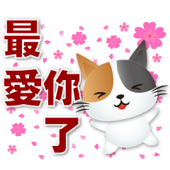 cute Calico cat- I love you the most