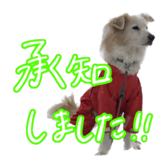 suzu_20230802135953