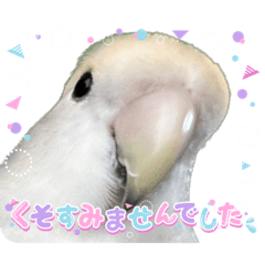 kana_20230802152446