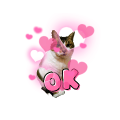 sakura_20230802163128