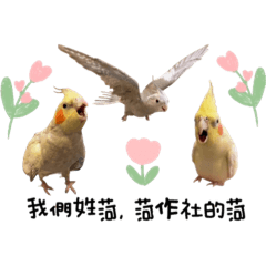 菏家平安～