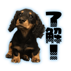RIRI_20230802181757