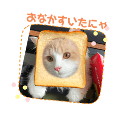 sakura_20230802185658