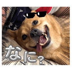 Muimuichan