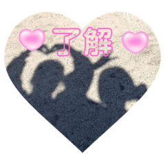 Sak_20230802204011