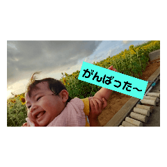 sakura_20230802201941