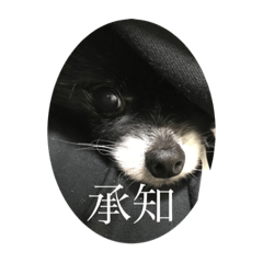 aoi_20230802205124