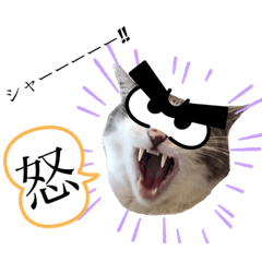 eririn_20230802212350