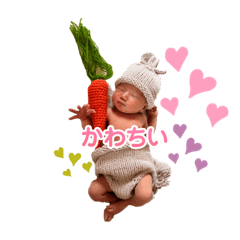 aoi_20230803005402