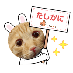 fu-channomama_20230803124400