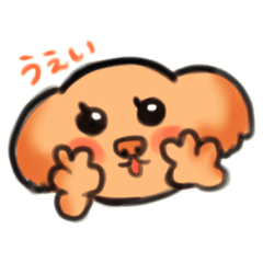 Mofumofu Toy Poodle Chaco!  Part 3
