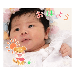 Perfect days for Koharu