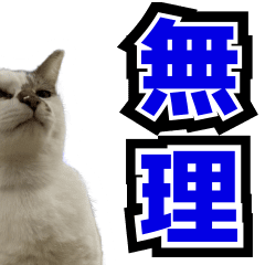cat stamp for everyday use in japanese