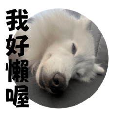 我們一家仨