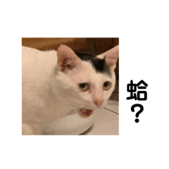 媽媽叫我自己賺罐罐