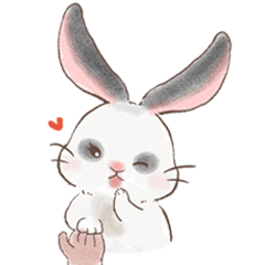 Cute rabbit Jiujiu