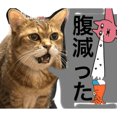hana_20230804115120