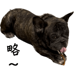 法鬥肚臍的日常