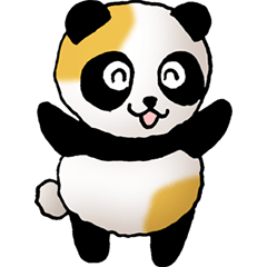 Calico Panda Part 1
