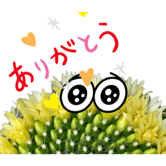 yokko my greeting