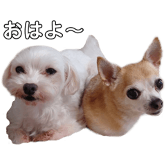 chisa_20230804135308