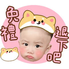 林家兄弟-熊貓生活篇