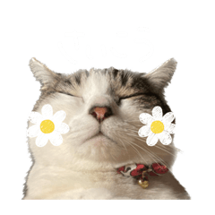 hi_20230805093251
