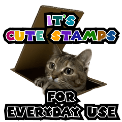 cat stamp for everyday use in english