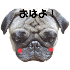 HACHI_20230805090119