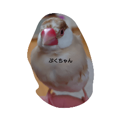 PUKU_20230804215017