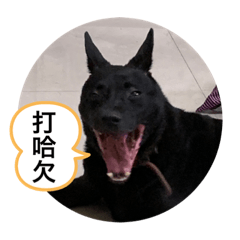 妮妮跟趴豆得樂園