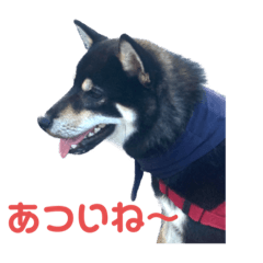 Yuka_20230804223023