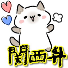 Kansai dialect loose cat daily life
