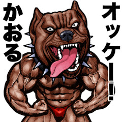 Kaoru dedicated Muscle macho animal