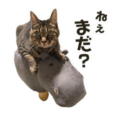 saori_20230805131648