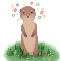 Shy Otter