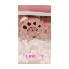 小湯圓(՞  . .՞)︎♡‎