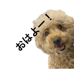 nozomi_20230805211829