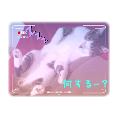 MiA_20230806085938
