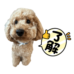 SUZU_20230805171509