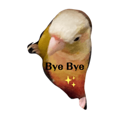 小粉圓的可愛貼圖2