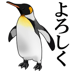 Real penguin sticker