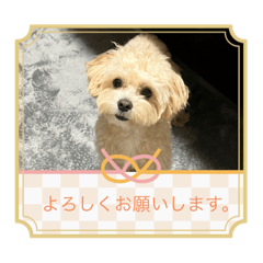 yuka_20230806021623