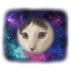 orochan