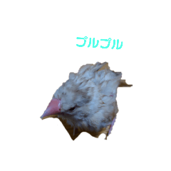 PUKU_20230805194356