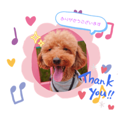 sayuri_20230806133458