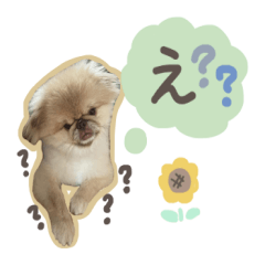 uru's sticker