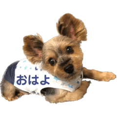 Yuka_20230806115756