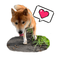 sugacchi_20230806143455