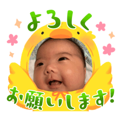 Sakura_20230806153305